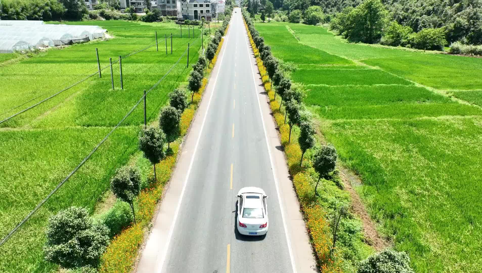 志敏故里 一路生花