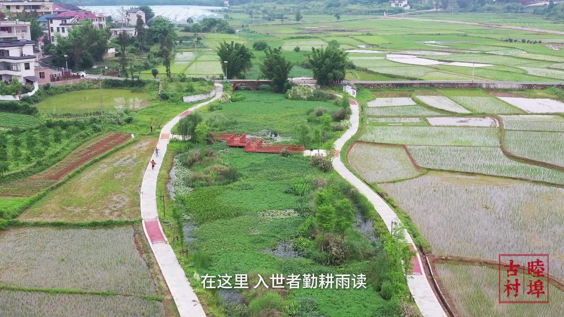 遇见兴国 古村睦埠