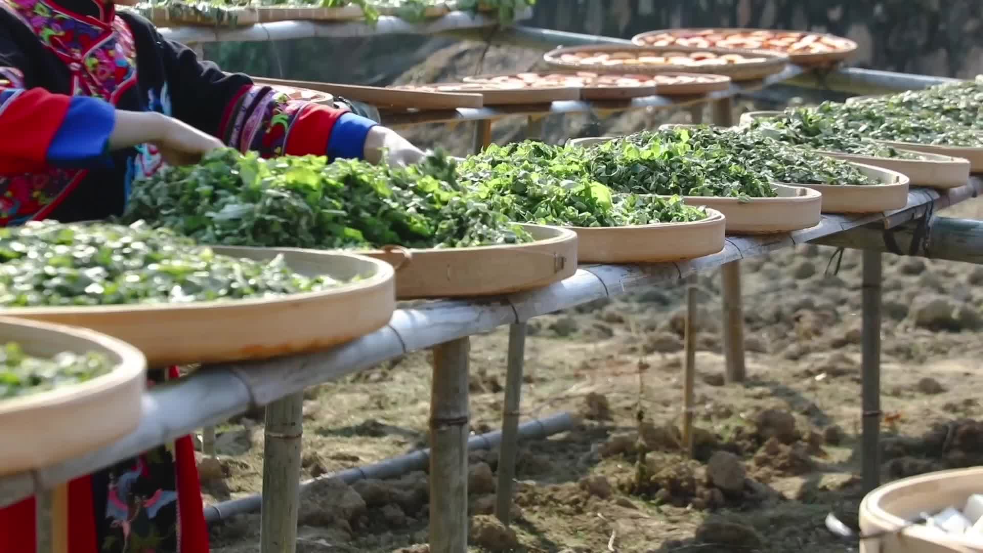 暖阳万物，东固晒冬，红色畲乡邀你共赏农耕盛宴，一起晒出冬日温暖。