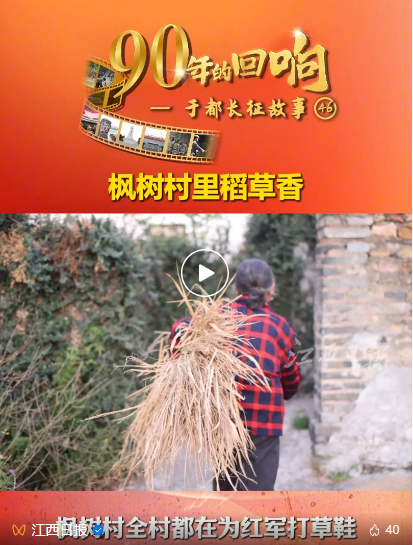 90年的回响㊻｜枫树村里稻草香