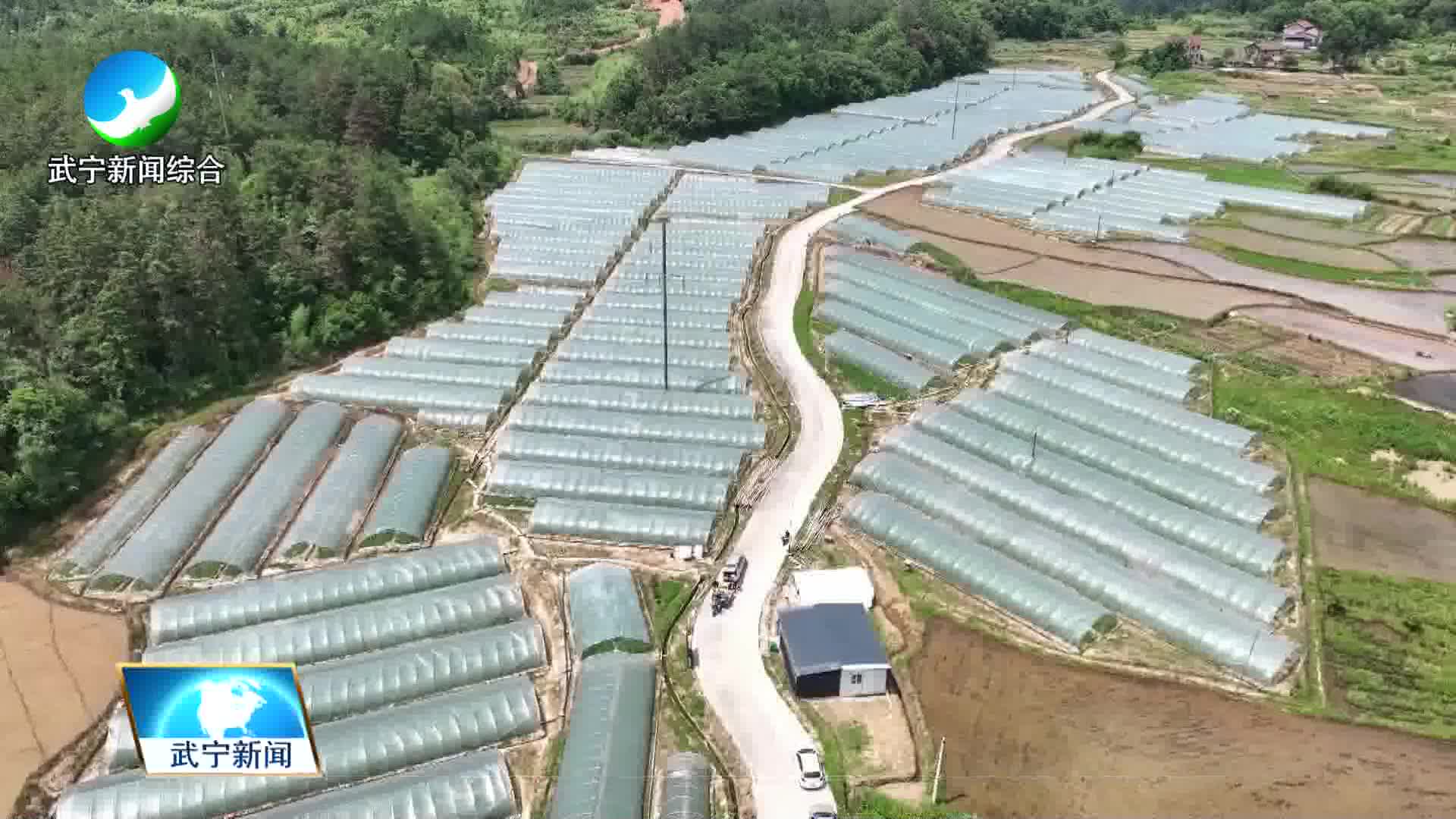 又是一年瓜果香 大棚西瓜产销旺