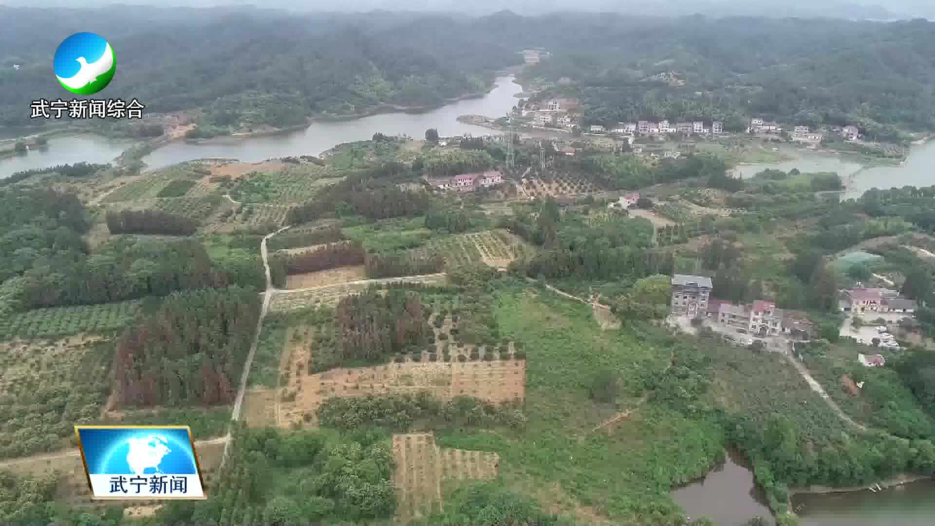 甫田乡：抓好猕猴桃夏管促增收