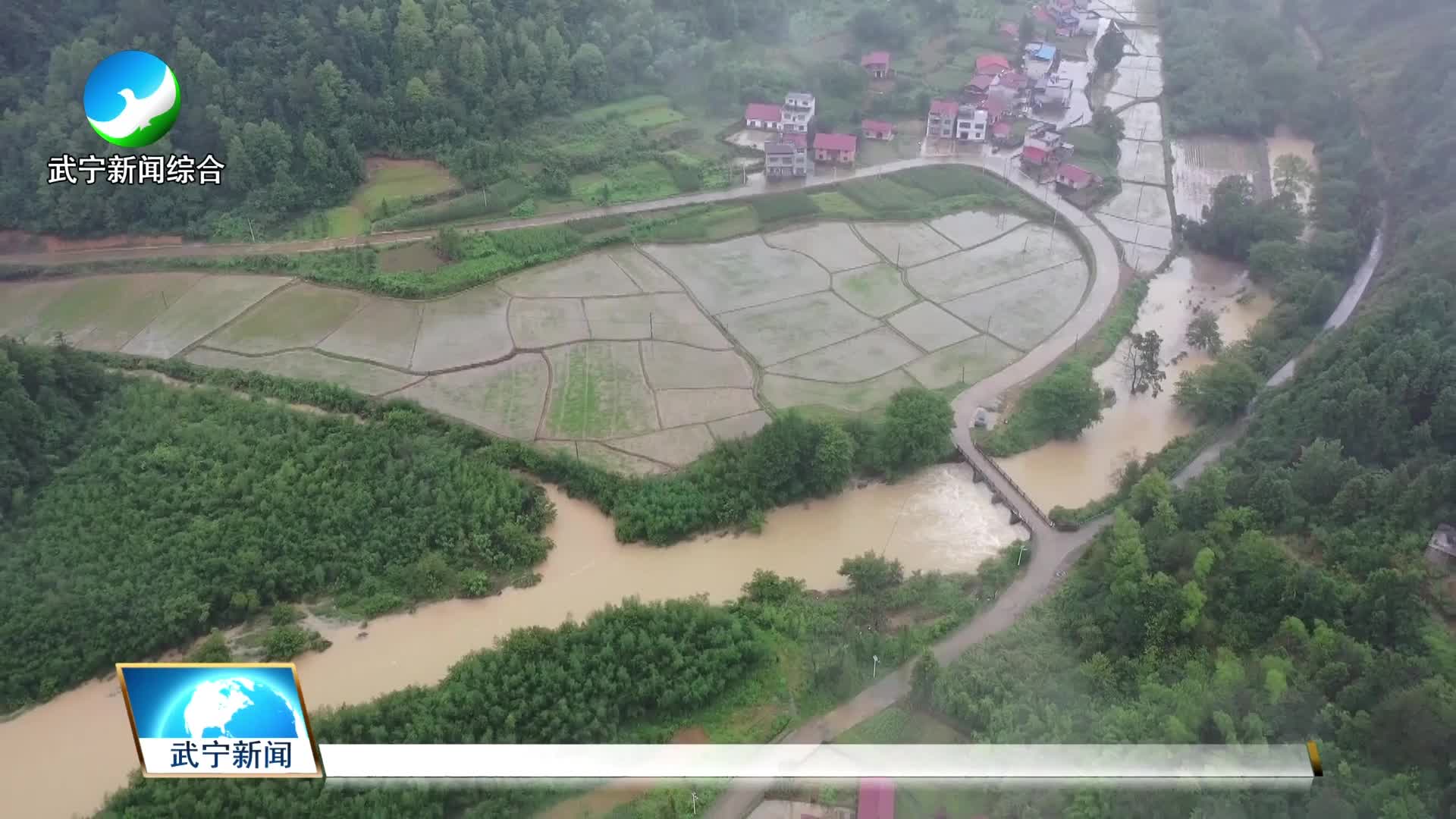 李辉：冲锋在前  身入洪流排险情