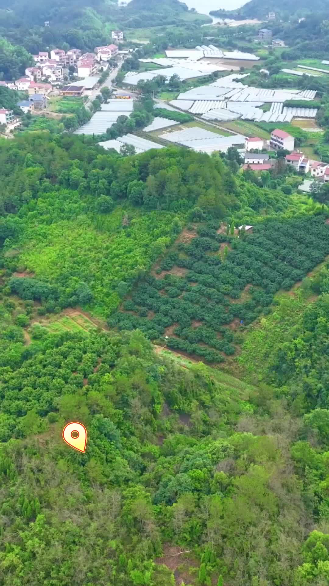 乡遇武宁 瓜果飘香罗洞村  