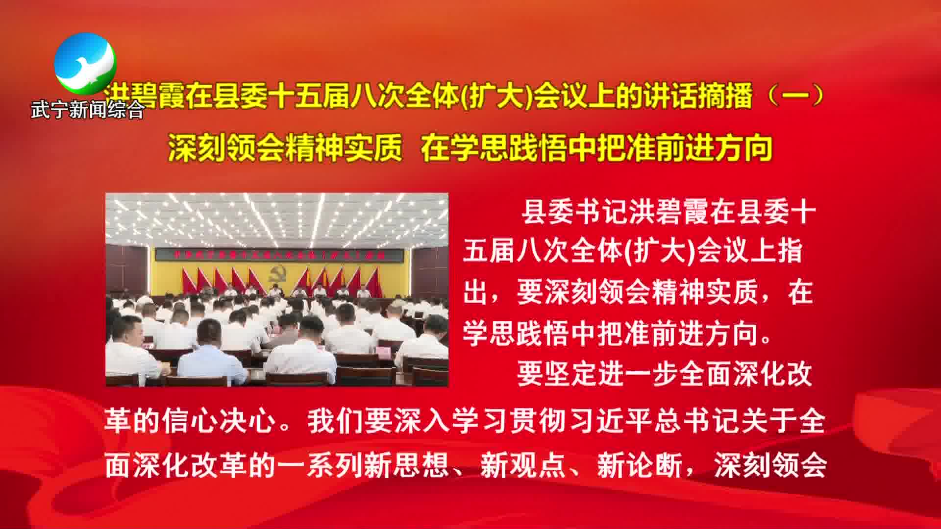 洪碧霞在县委十五届八次全体(扩大)会议上的讲话摘播（一）深刻领会精神实质 在学思践悟中把准前进方向