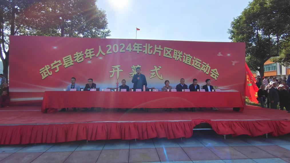 武宁县大洞乡成功举办2024年武宁县北片区乡镇老年人联谊运动会