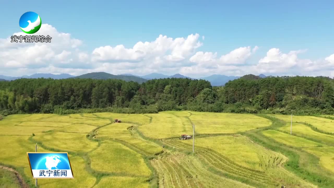 甫田乡：大米加工生产忙 振兴路上米飘香