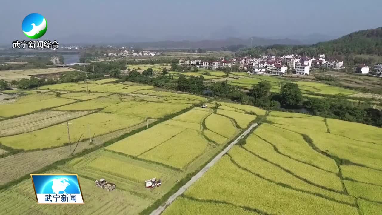 机械化助力水稻收割“加速度” 各地粮农稻谷满仓笑开颜