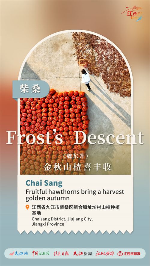 【双语海报】霜降｜植物盈收诗画间/Frost's Descent | Harvest of Plants Creates a Picturesque Scene