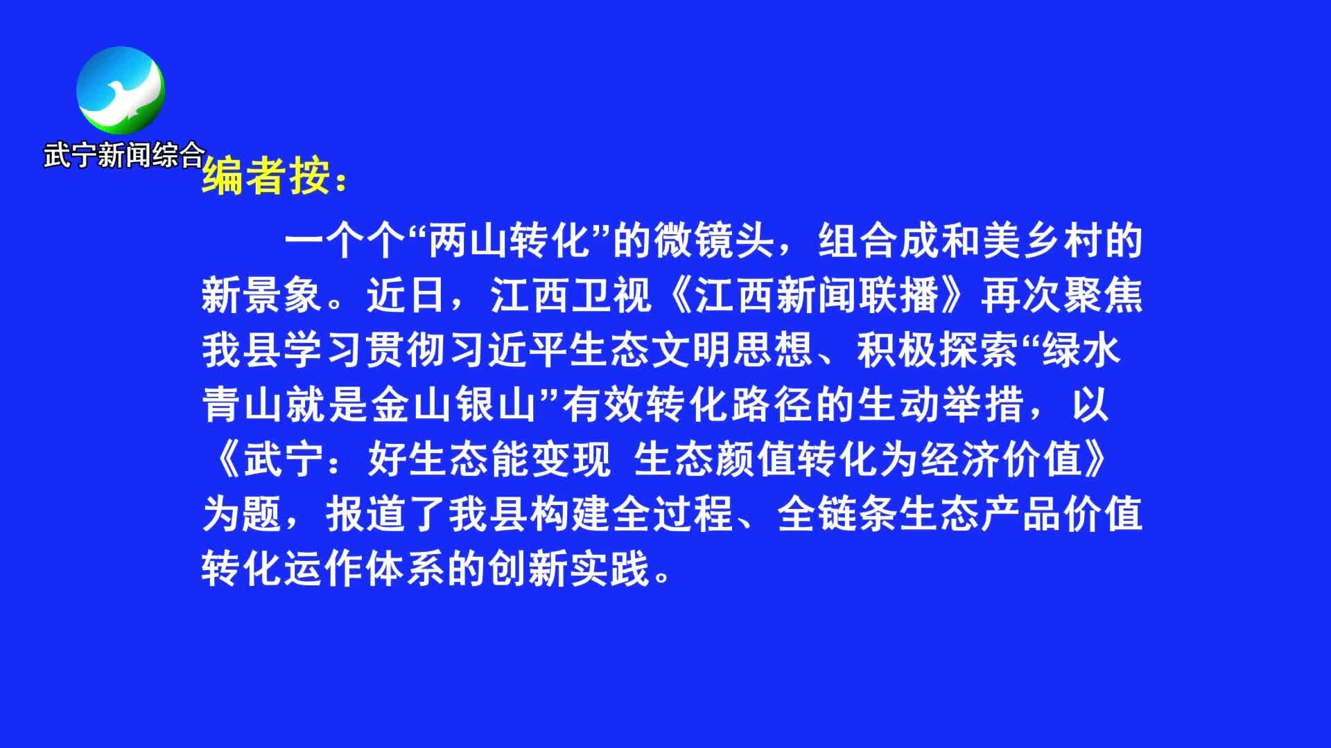 武宁：好生态能变现 生态颜值转化为经济价值