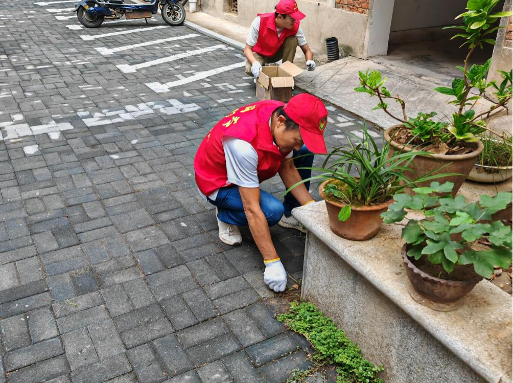 武宁县旅发公司：志愿服务进社区 点滴实事暖人心