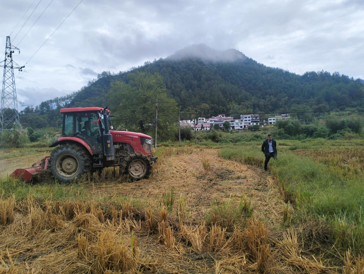 武宁县上汤乡：冬种正当时 共绘好“丰”景