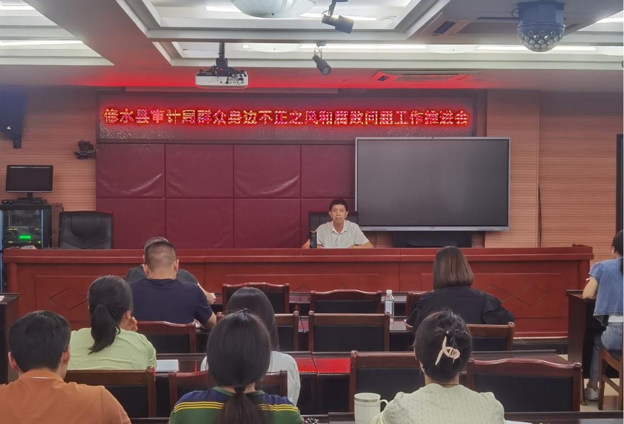 县审计局：高效推进集中整治 发挥审计经济监督职能