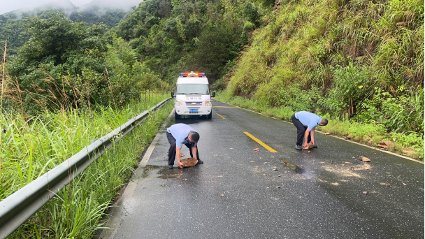 【防汛一线】县交通运输综合行政执法大队：加强汛期隐患排查