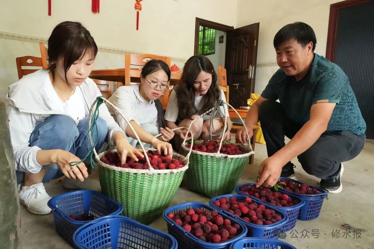 庙岭乡：千亩杨梅抢“鲜”上市