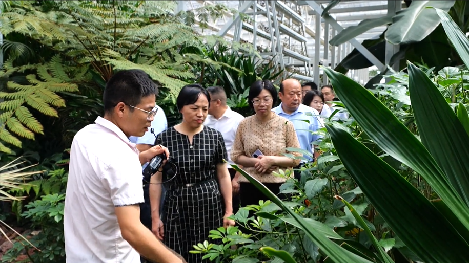 九江市科协主席张水兰到我县调研 