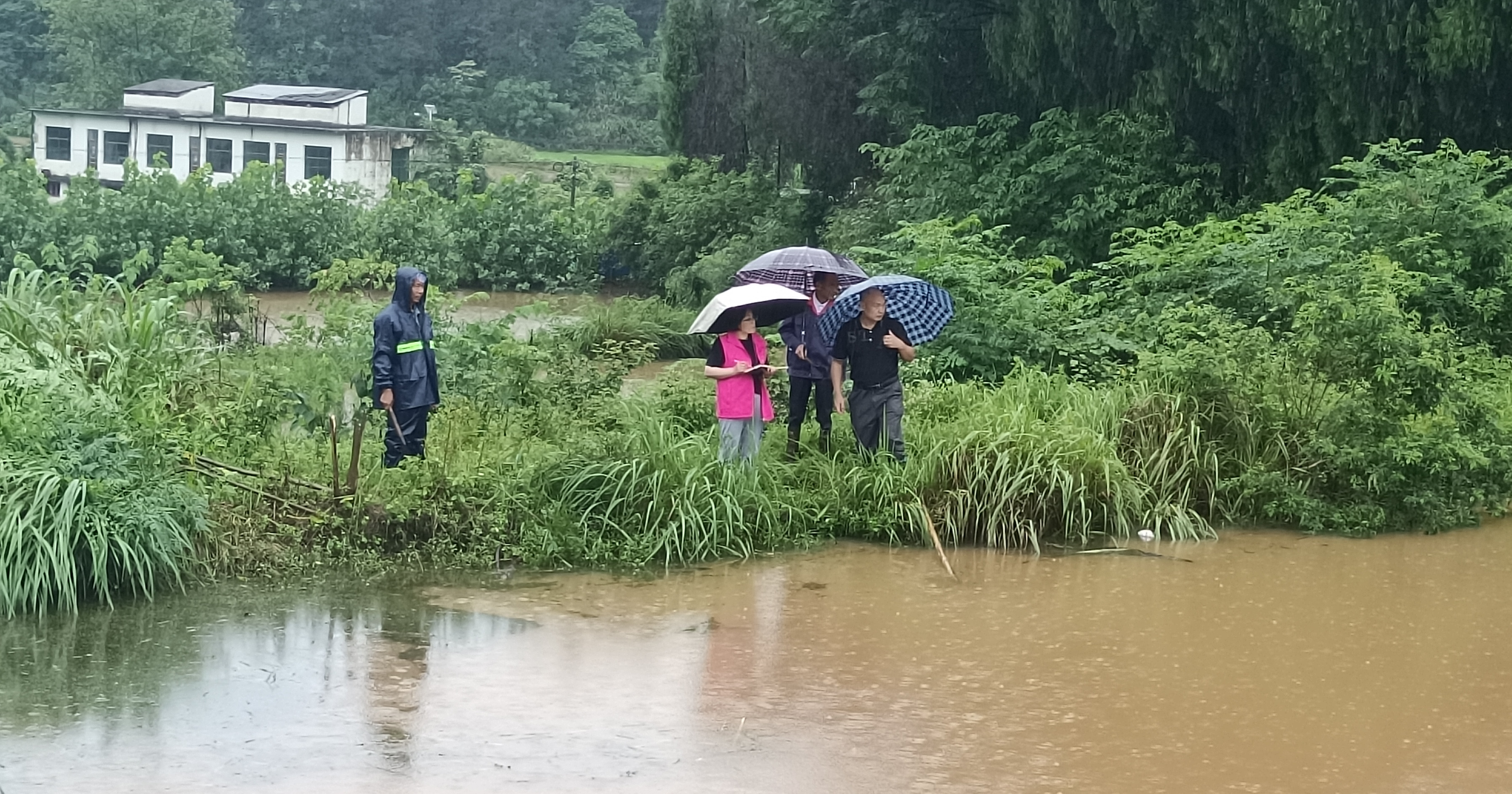 【防汛一线】马坳镇：巾帼同心共克时艰  风雨同舟共待彩虹