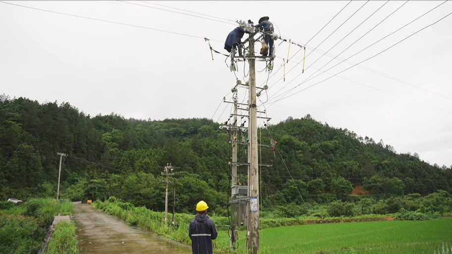 【防汛一线】强降雨致供电线路受损 供电部门紧急抢修保供电