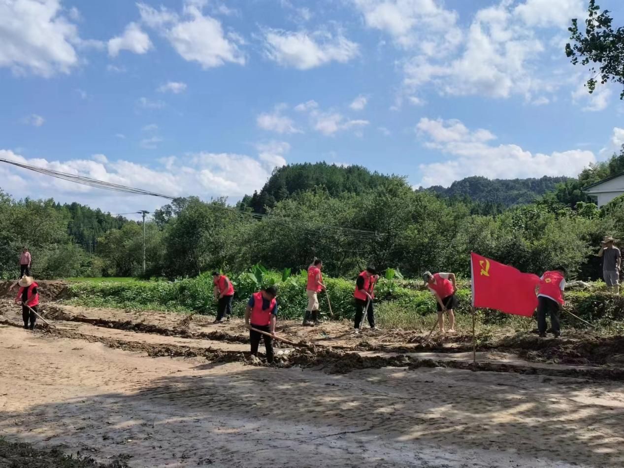 洪水消退！上奉镇开展灾后环境整治专项行动