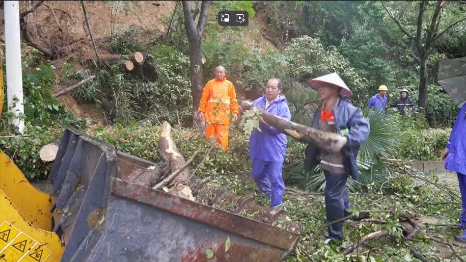 【防汛一线】山体滑坡致使大树“拦路”  多部门紧急处置 