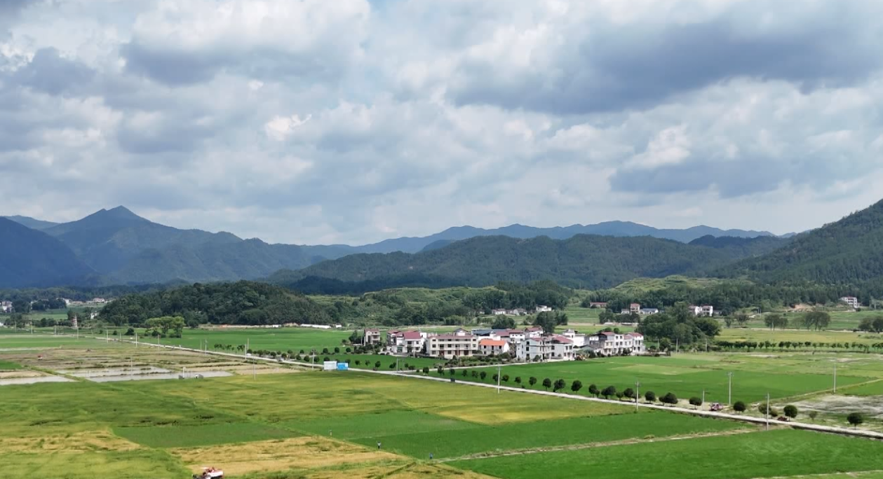 视频丨我县10.5万亩早稻喜获丰收 