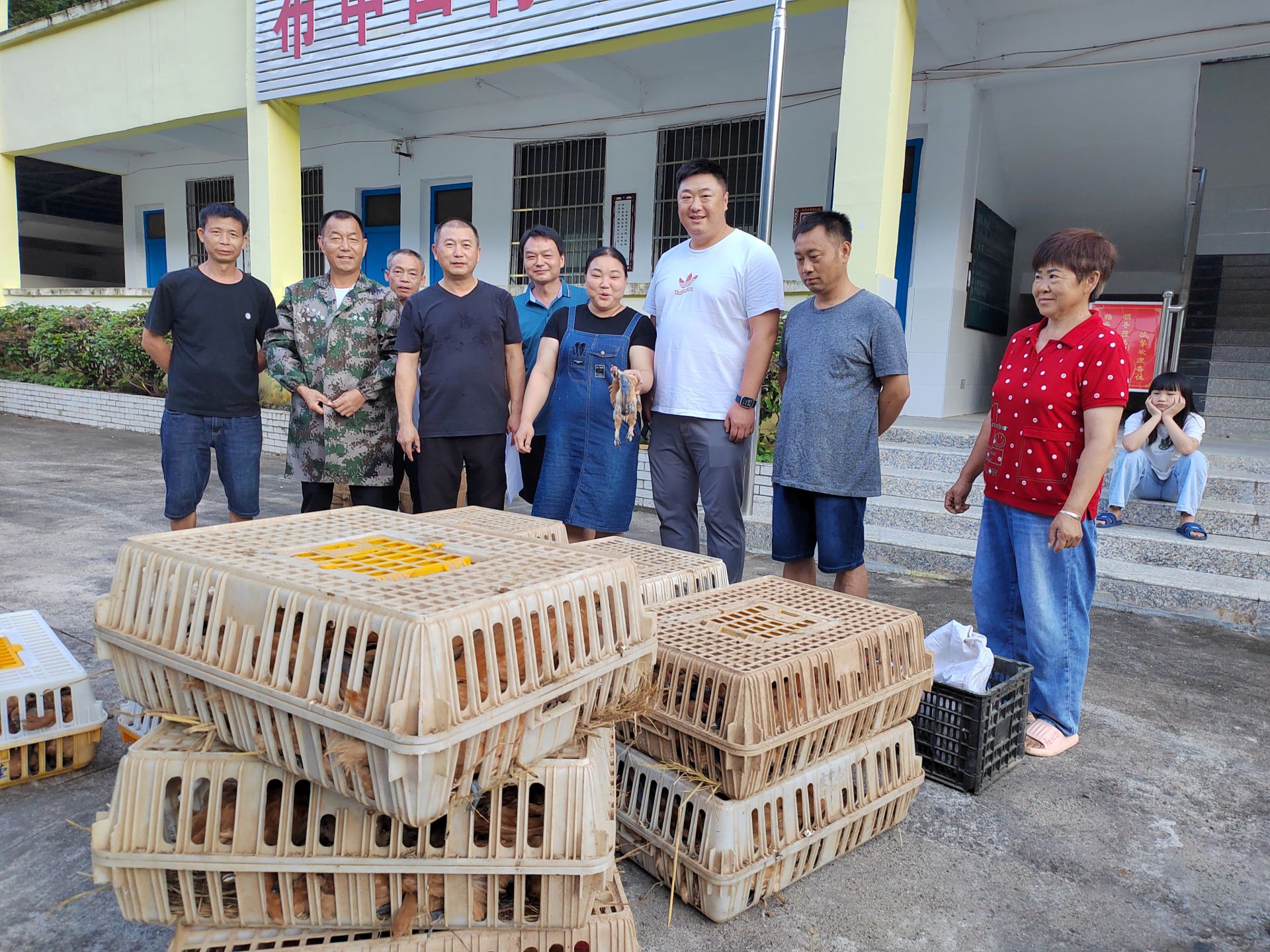 中粮集团：发放鸡苗暖民心  助农增收促振兴