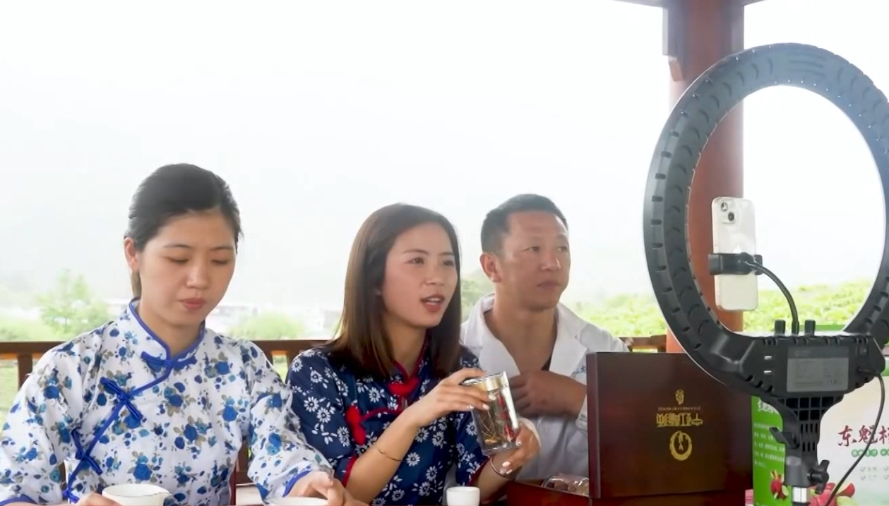 视频丨【学习贯彻党的二十届三中全会精神】全面推进乡村振兴 加快建设农业强县  