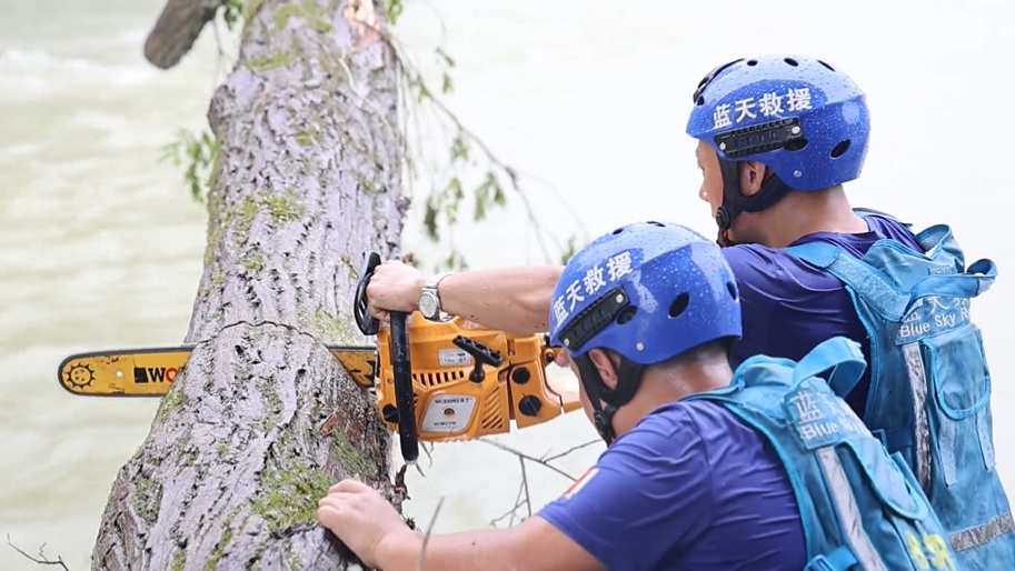 【防汛一线】一棵大树卡桥墩  齐心协力除险患