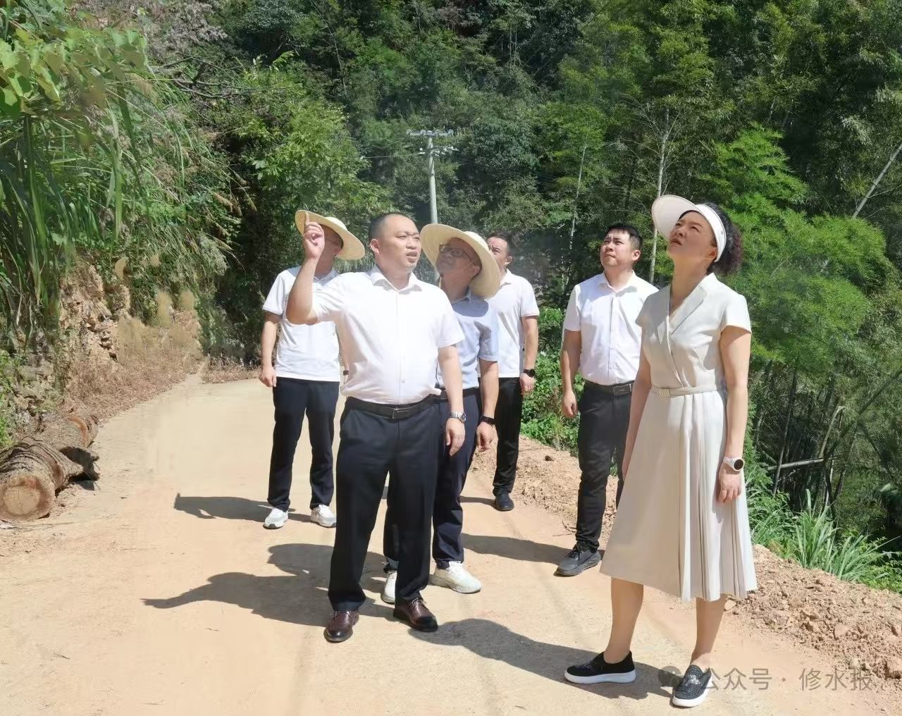 视频丨刘婕深入大椿乡考察调研 