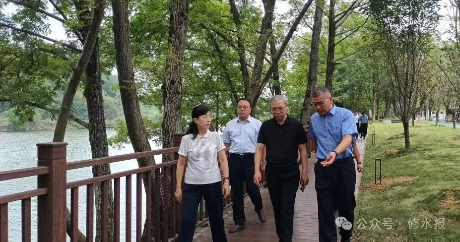 视频丨市人大常委会调研组来修调研