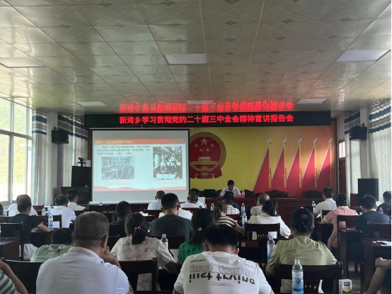 新湾乡召开学习宣传贯彻党的二十届三中全会精神宣讲报告会