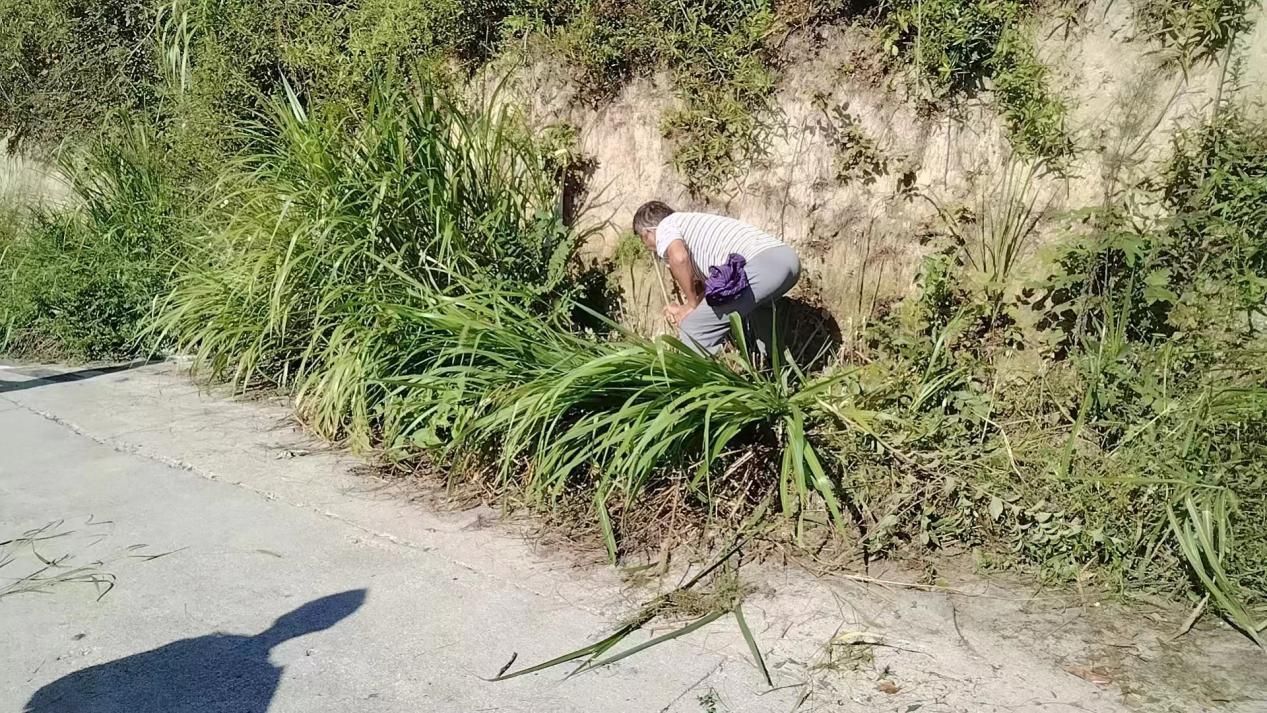黄龙乡：环境整治迎佳节