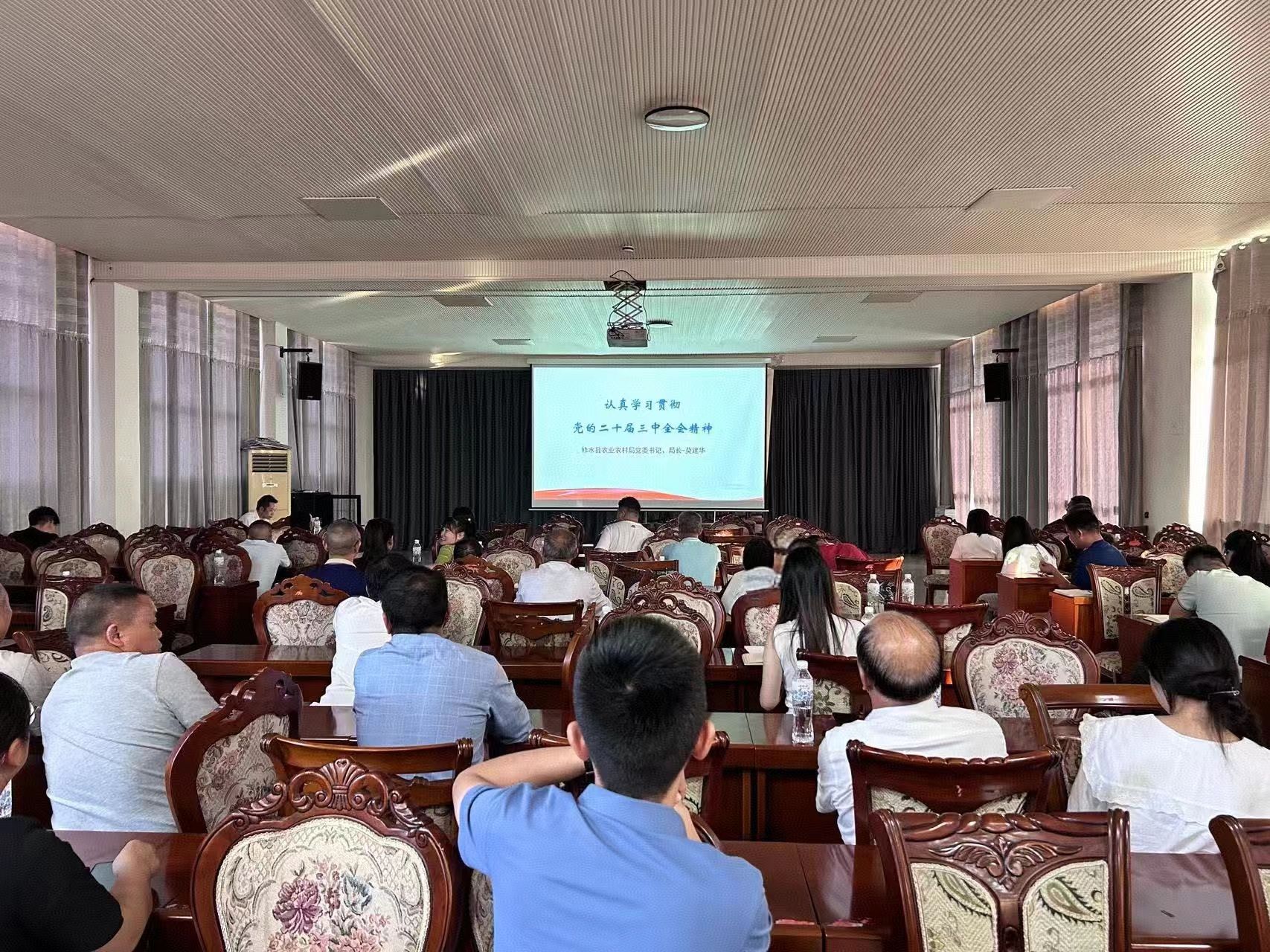 【学习贯彻党的二十届三中全会精神】县委宣讲团到何市镇宣讲