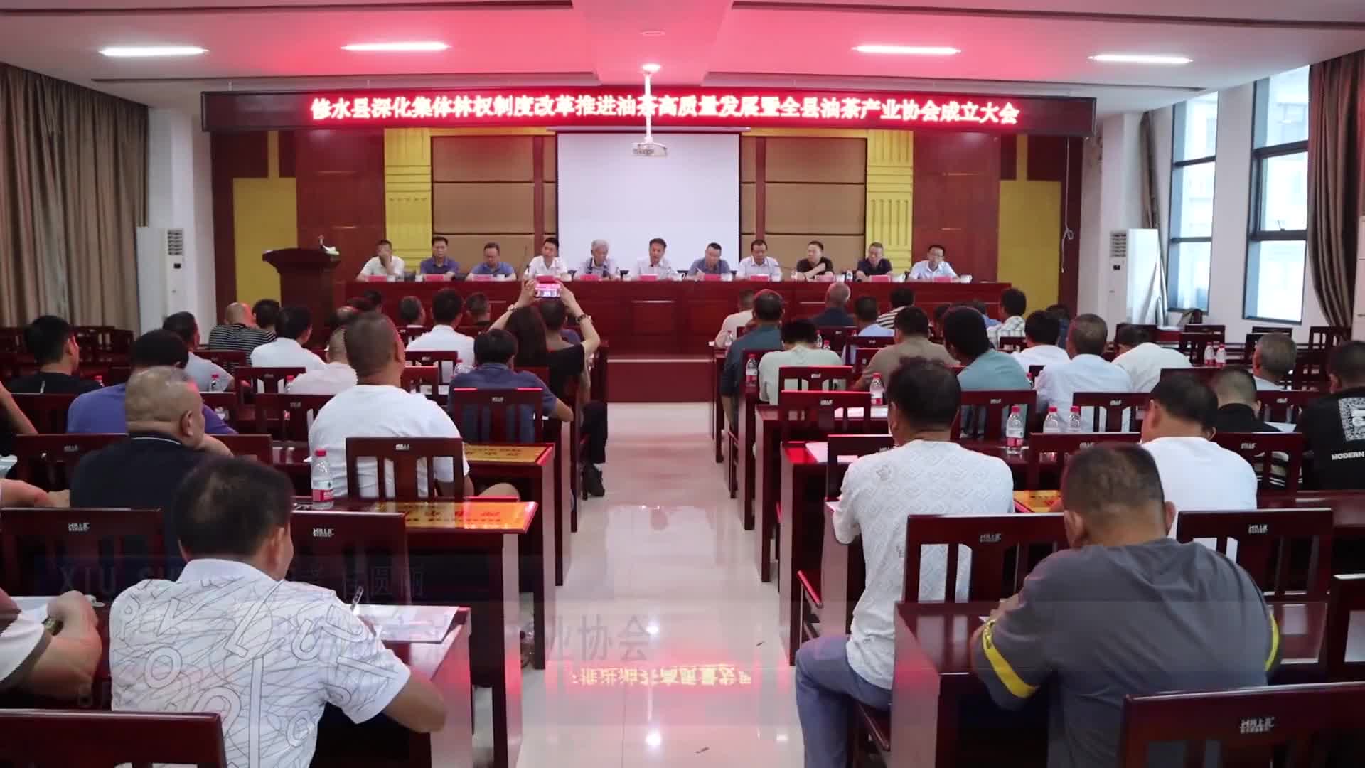 我县成立油茶产业协会