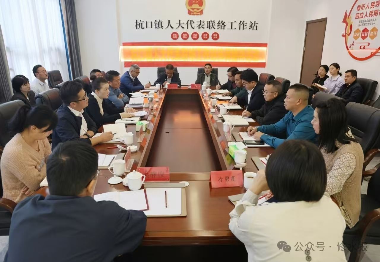 视频丨刘婕到杭口镇开展选民接待日活动