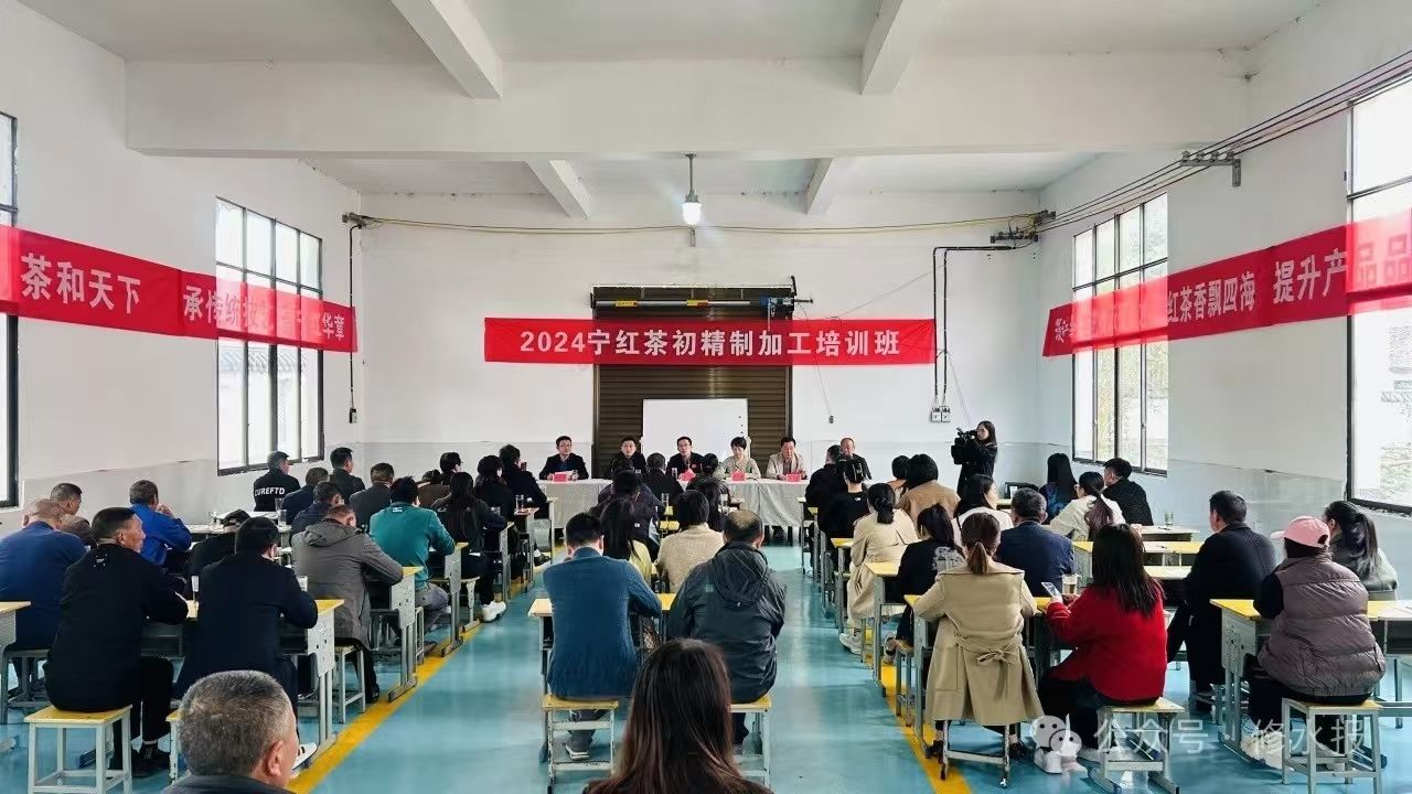 视频丨我县举办2024宁红茶初精制加工培训 