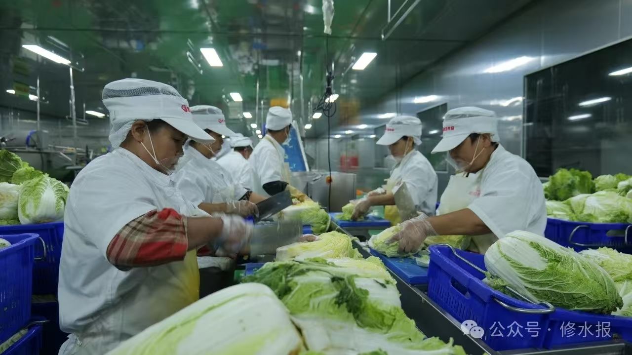 视频丨我县多管齐下 护航学生营养餐安全