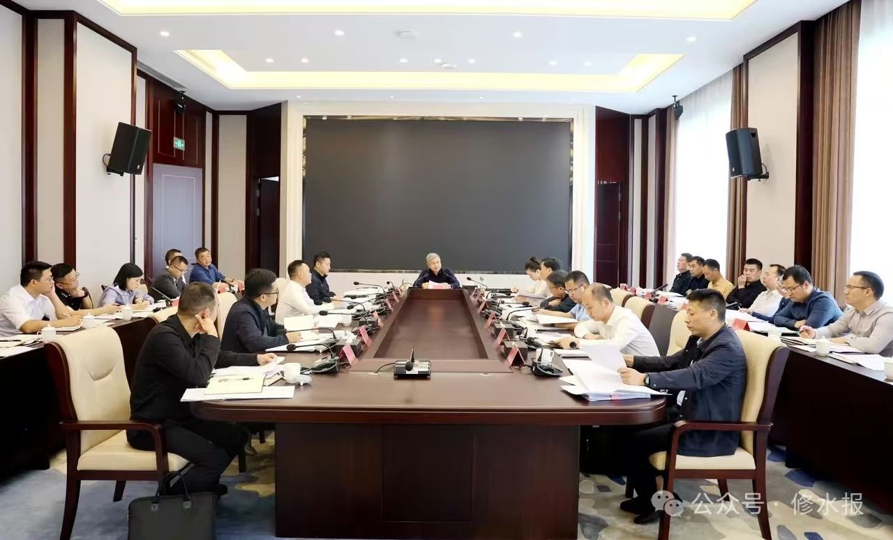 视频丨2025年重大项目筹备情况调度会召开 