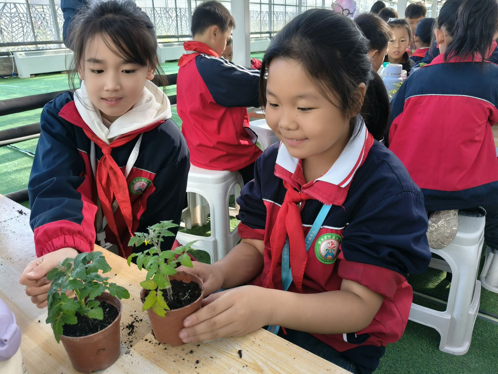 何市镇中心小学组织学生开展户外研学活动