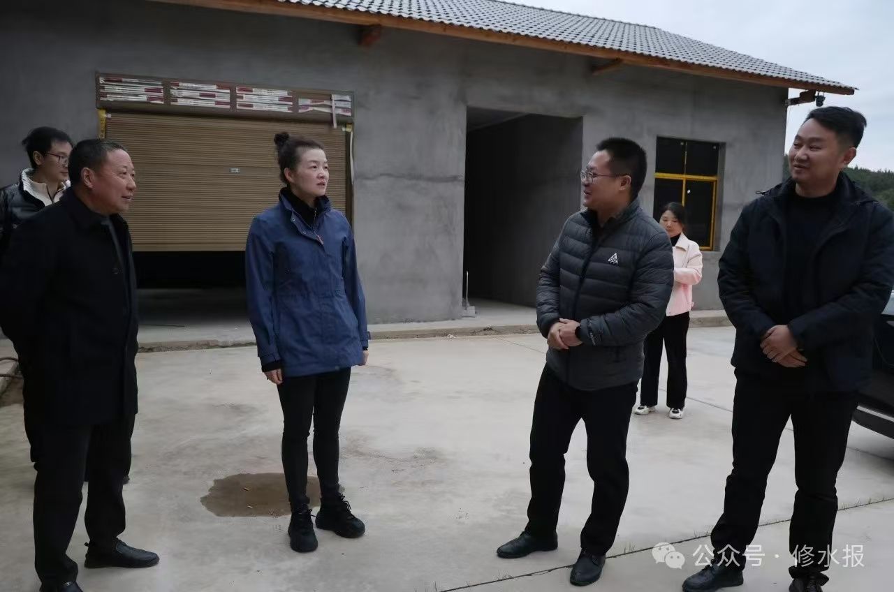视频丨刘婕到竹坪乡考察调研