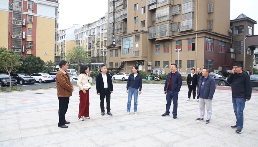 视频丨县人大常委会督查2024年民生实事项目