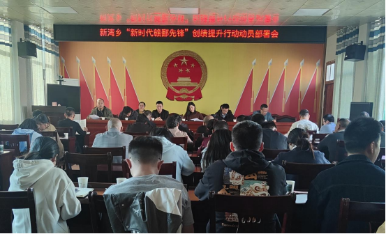 新湾乡：党员承诺践诺  为基层治理注入红色力量