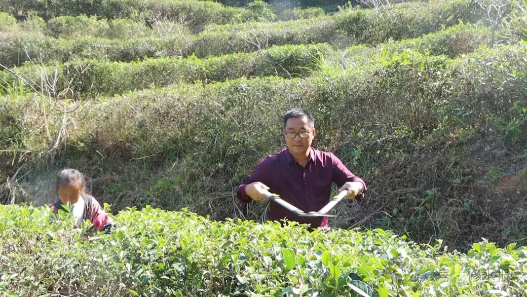 视频丨【政协委员风采】张荣生：心怀家乡 筑梦乡村