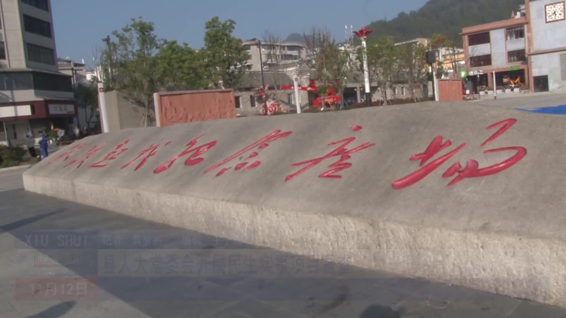 县人大常委会开展民生实事项目督查