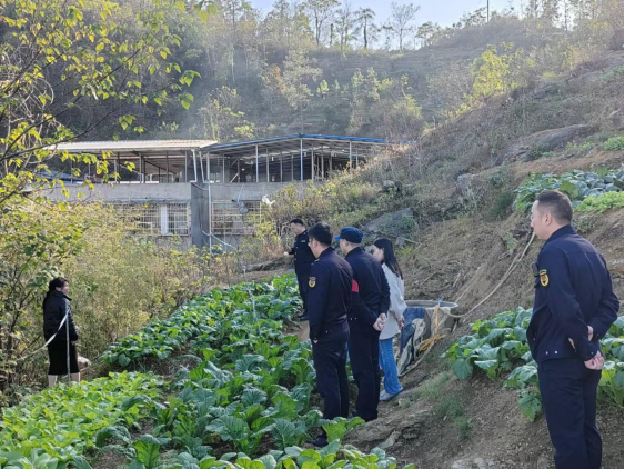 义宁镇民生社区：整治“城市菜地”  防范地质灾害
