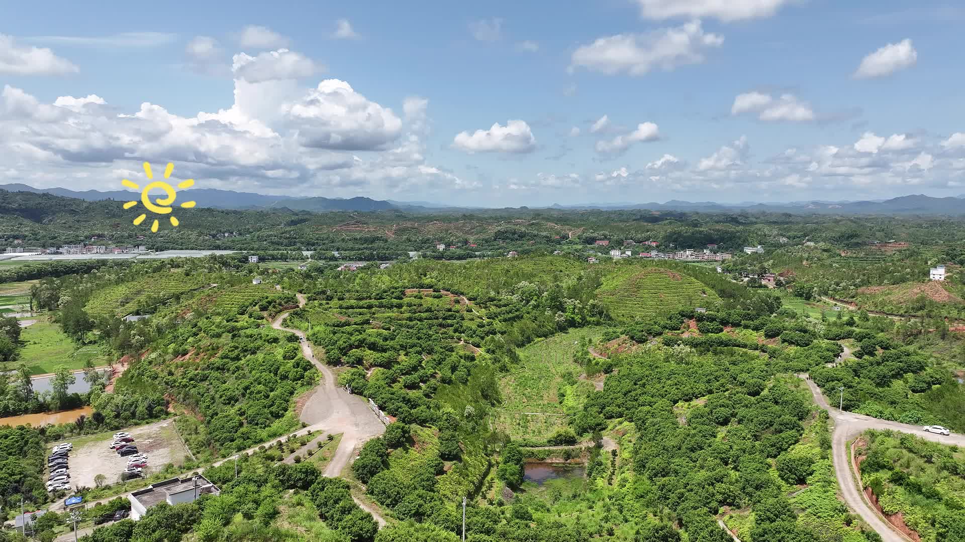 杰村杨梅采摘学习强国.mp4