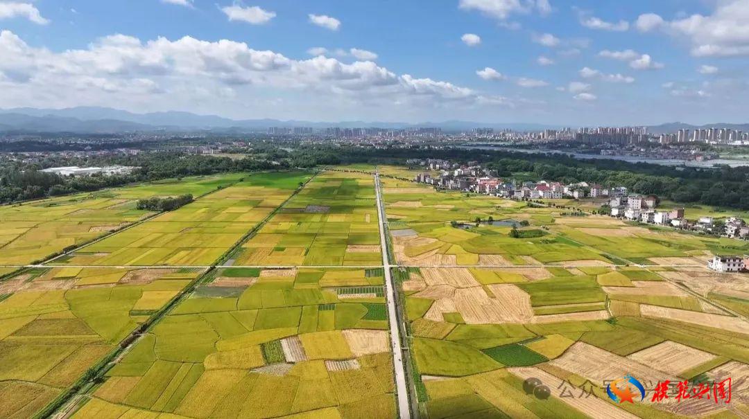 红土地上稻花香——兴国抓牢粮食生产纪实