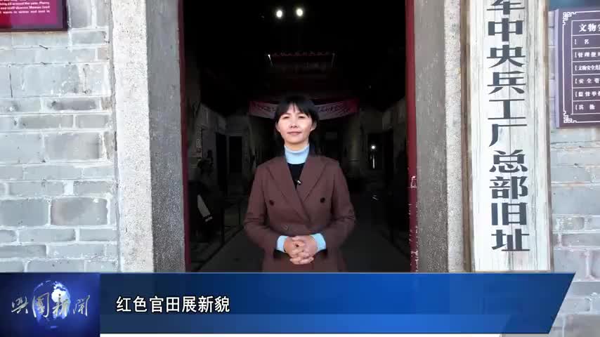 4.mp4