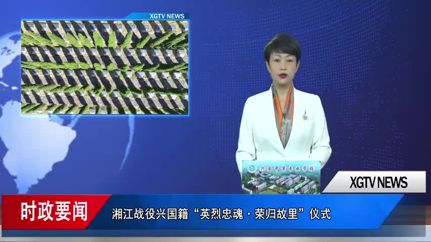 1.mp4