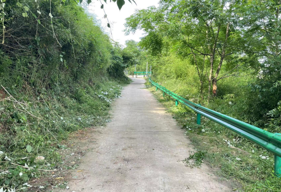 涌泉乡黄洞村：砍青除障，路畅人安